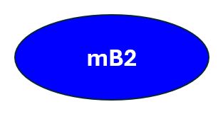 mB2_Default